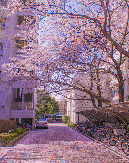 学生生活。安心して使い続けられるPC。